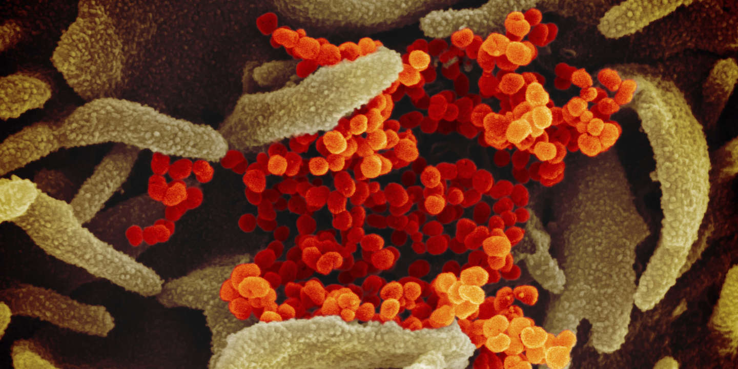 Coronavirus : « Face à l’épidémie, les entreprises doivent se mettre en ordre de marche »