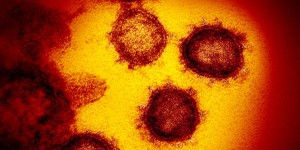 Coronavirus : nos réponses à vos questions pour mieux comprendre l’épidémie