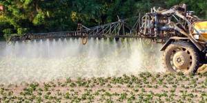 La Cour des comptes dresse un constat d’échec des politiques publiques de réduction des pesticides