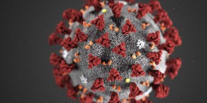 Epidémie de Covid-19 : la difficulté de bien nommer le virus et la maladie