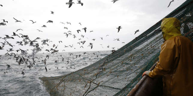 Des filets biodégradables pour les pêcheurs de la Manche