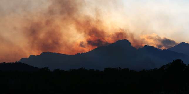 Incendies en Corse : des renforts aériens attendus, le confinement de deux villages levé