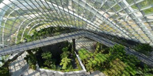 Comment la nature incite l’architecture à se réinventer