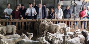 Le président Macron doit-il se rendre au Salon de l’agriculture ?