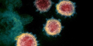 Coronavirus : au Congo-Brazzaville, quarantaine annoncée pour les personnes venant de France, de Chine et d’Italie