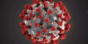 Coronavirus : le tour d’Afrique des mesures