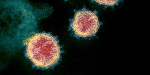 Quelles différences entre le coronavirus et la grippe ?