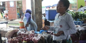 Au Gabon, les ventes de pangolin flanchent avec le Covid-19