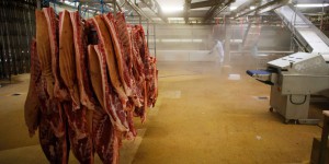 L’abattoir Sobeval de Dordogne visé par une enquête préliminaire pour mauvais traitements à animaux