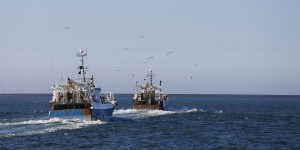 L’Europe se prépare à financer de nouveaux bateaux de pêche