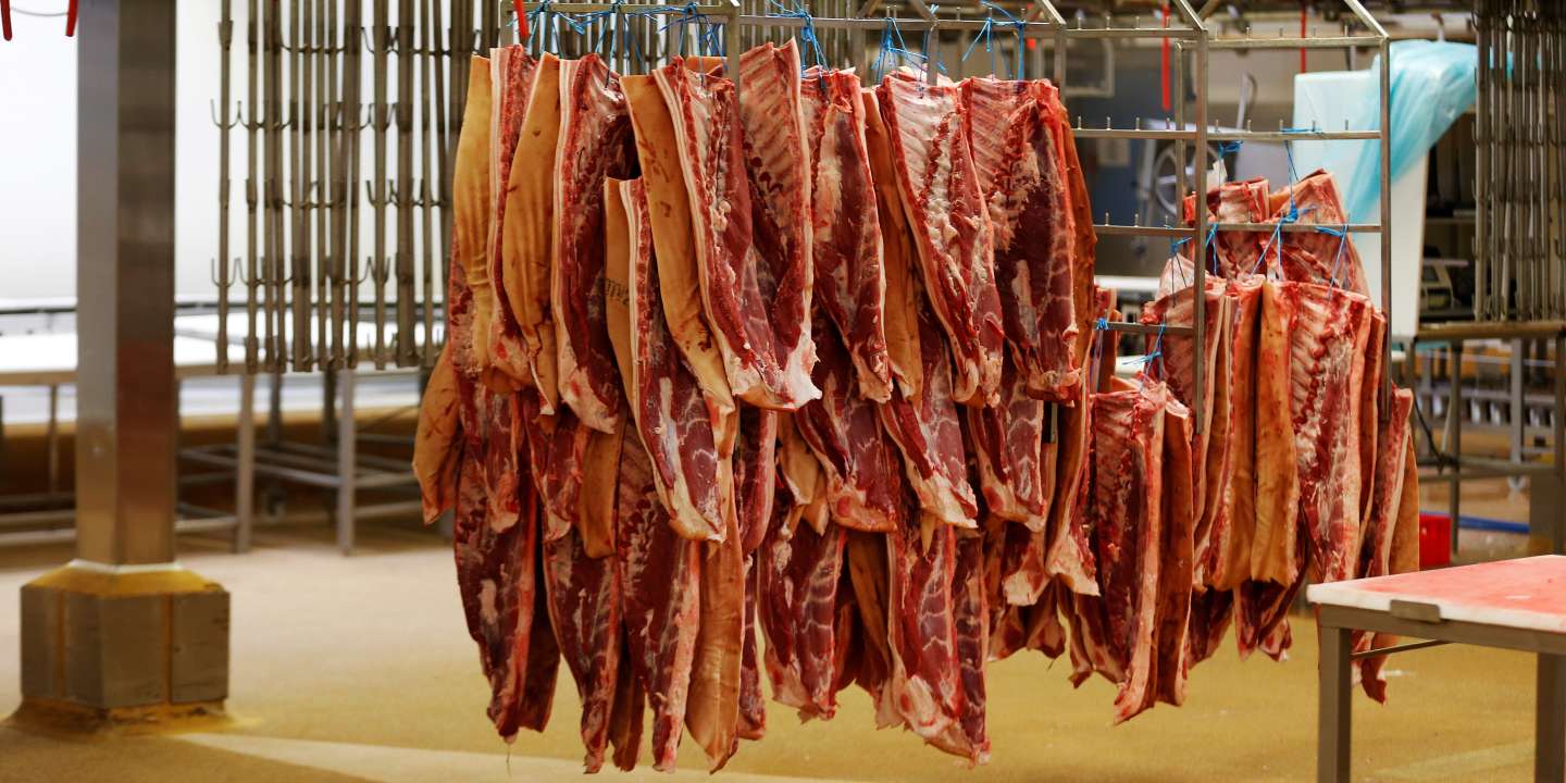 L’organisme public de recherche en agriculture et alimentation attaqué pour sa communication sur la viande