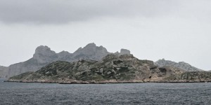 A Marseille, des braconniers condamnés à payer 385 000 euros pour préjudice écologique