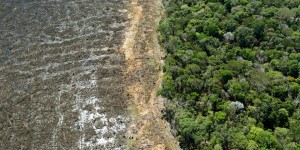 « A la source de la déforestation et des pandémies, il y a une incapacité dramatique à entrevoir la misère d’une partie de la population mondiale »
