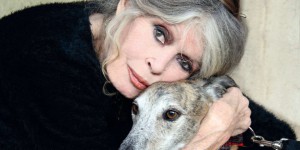 Brigitte Bardot : « Les balles perdues des chasseurs tuent chaque année »