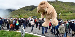 Hautes-Pyrénées : des éleveurs manifestent après des attaques d’ours