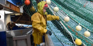 Pêche en Europe : des progrès contrastés sur la gestion des stocks halieutiques