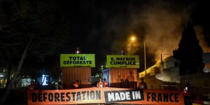 Total condamné à revoir son étude d’impact sur l’utilisation de l’huile de palme dans une raffinerie