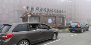 Origines du Covid-19 : la divulgation de travaux inédits menés depuis 2014 à l’Institut de virologie de Wuhan alimente le trouble