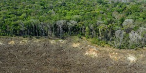 Amazonie : « Le projet du Ferrograo risque de faire basculer la destruction de la forêt vers un niveau irréversible »