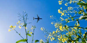 Les biocarburants peuvent-ils vraiment améliorer le bilan écologique des avions ?