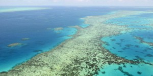 La Grande Barrière de corail est « en danger » pour l’Unesco, l’Australie prête à contester