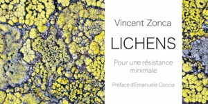 « Lichens », un essai sur ces organismes habitués aux milieux hostiles, érigés en symboles de la précarité humaine