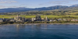 « Pari perdant pour le climat » ou « source pour assurer la transition énergétique » : à La Réunion, des projets de centrales biomasse contestés