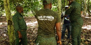 Il faut sauver la forêt ivoirienne !