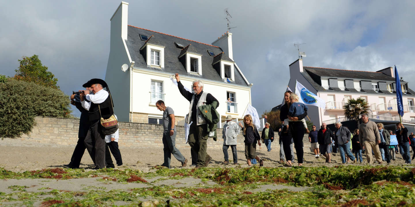 Algues vertes : la région Bretagne sous pression