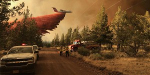 Chaleur, sécheresse : l’Ouest américain brûle déjà à une vitesse alarmante