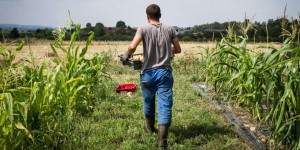 Des futurs agriculteurs en « couveuse » pour valider leur projet d’installation