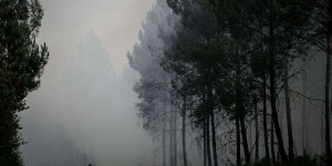 Incendie dans l’Aude : 250 hectares de forêt détruits, 170 personnes évacuées et 400 pompiers mobilisés