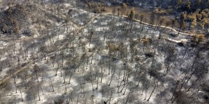 Après deux semaines de canicule, la Grèce espère que les premières averses sonnent la fin des incendies