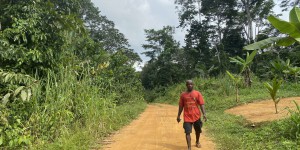 Au Cameroun, la bataille des Bagyeli contre des industriels de palmiers à huile