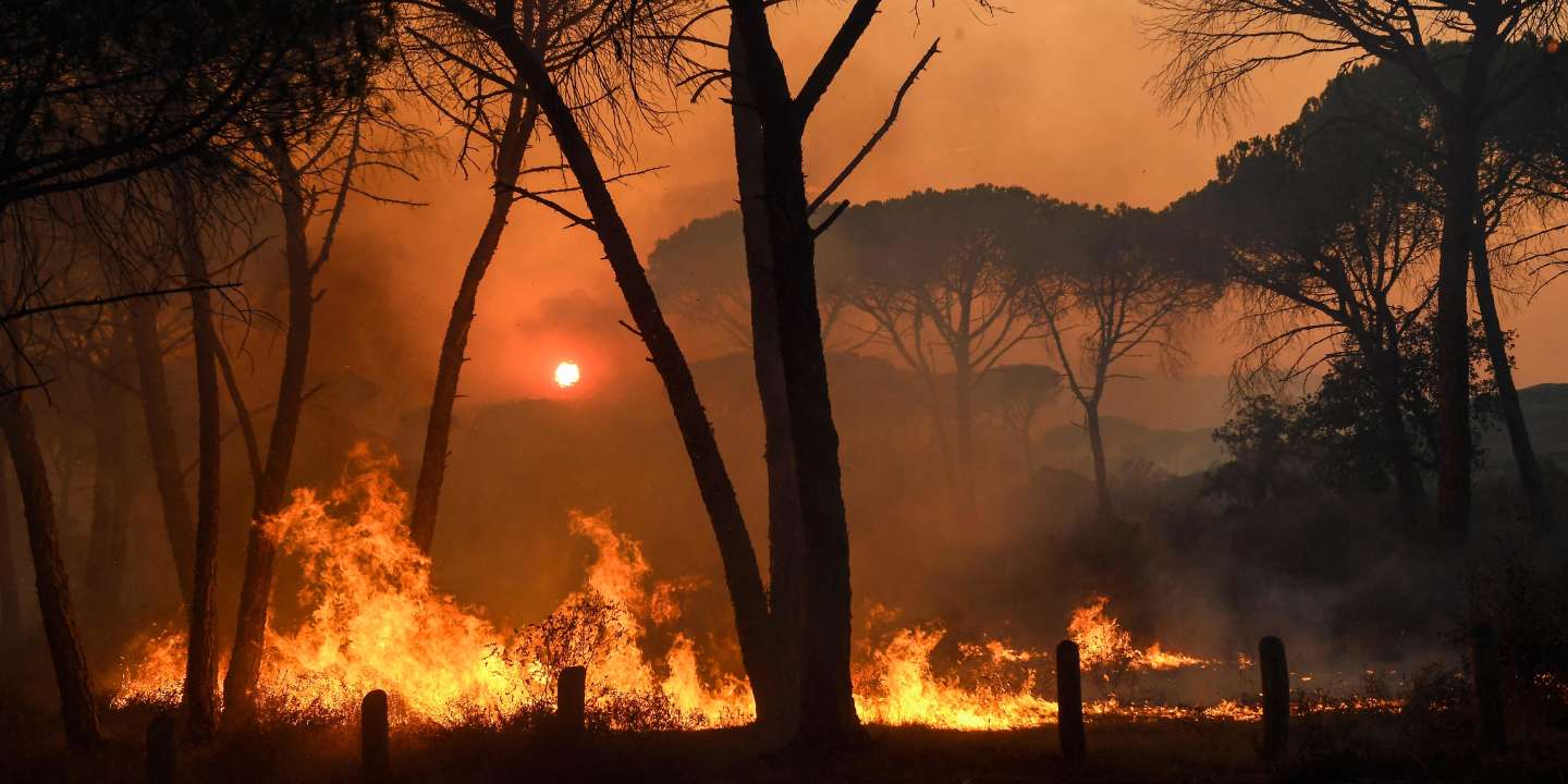 Incendie dans le Var : « Ces mégafeux modifient l’écosystème, et peut-être pour toujours »