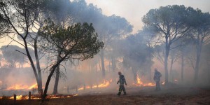 Incendies en France : la situation reste « préoccupante » dans le Var, 90 hectares brûlés dans l’Aude