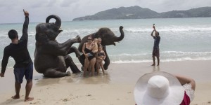 L’éléphant, jouet du tourisme animalier