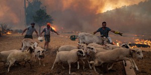 En Turquie et en Grèce, une canicule et des feux d’ampleur historique