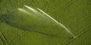 Agriculture : l’Union européenne ne dissuade pas la surconsommation d’eau