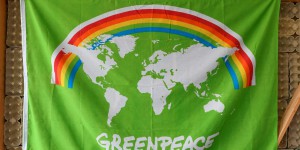 « Greenpeace a acquis une place particulière en combinant la communication et l’activisme »
