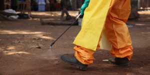 En Guinée, l’OMS déclare la fin de l’épisode de virus de Marburg