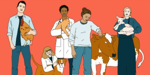 Plus jeunes, plus réalistes et toujours plus passionnés : les nouveaux étudiants vétérinaires