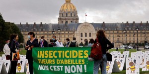 Pesticides : des associations attaquent l’Etat pour n’avoir pas suffisamment protégé la biodiversité