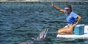 « Aucun bassin, aussi grand soit-il, ne pourra offrir des conditions de vie décentes aux dauphins »