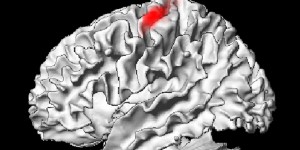 Une étude mesure les effets du confinement sur le cerveau