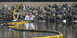 Marée noire en Californie : les autorités déplorent une « catastrophe environnementale »