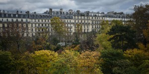 Paris relève de 32 % la taxe sur l’abattage des arbres