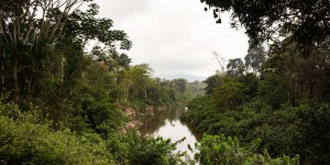« Les pays du Nord ne doivent pas se contenter de payer ceux du Sud pour protéger les forêts tropicales »