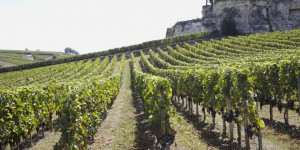 PestiRiv, l’étude sur les pesticides qui fait trembler les vins de Bordeaux