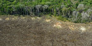 Au Brésil, la déforestation de l’Amazonie, résultat de la politique de Jair Bolsonaro